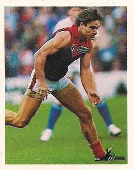1993 Select AFL Stickers #164 Andy Lovell Front